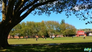 Best Christchurch Parks to Visit