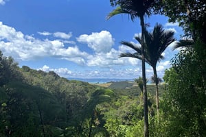 Waiheke Island: Private Guided Te Ara Hura 5-Day Walk