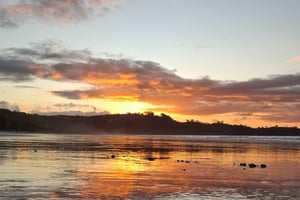 Waiheke Island: Tur ved solnedgang med vinsmagning og middag