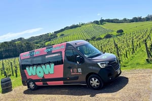 Waiheke Island: Wine, Gin, and Olive Oil Tour with Lunch