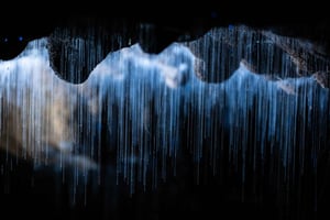 WAITOMO GLOWWORM & RUAKURI CAVES - TOUR PARTICULAR SAINDO DE AUCKLAND