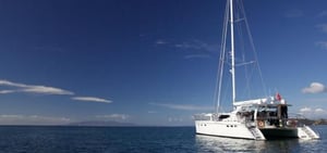 オークランドでの水上アクティビティ