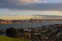 Auckland Local Tips