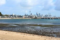 オークランドの最高のビーチ