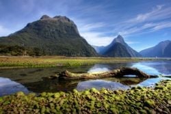 ニュージーランド人