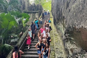 Customizable half day group tour (price per vehicle)