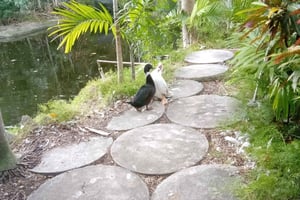 Freeport: Grand Bahama Culture, History & Local Flavors Tour