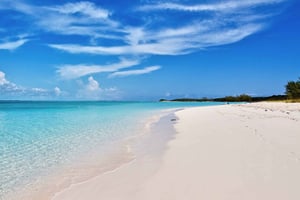 From Nassau: Exuma Swimming Pigs, Sharks and More