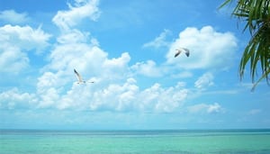 Great Harbour Cay of Bullock's Harbour