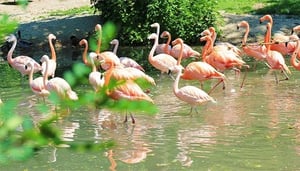 Inagua National Park