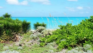 Landfall Park and White Cross