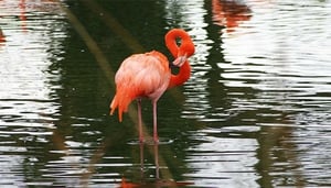Little Inagua National Park
