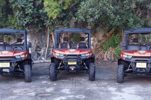 Nassau: 6-Seater Beach Buggy Rental
