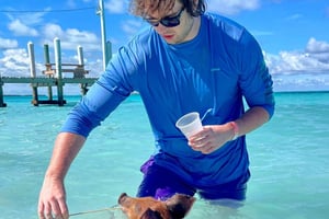 Nassau ATV & Swimming Pigs Tour