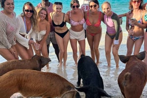Nassau: een hele dag feest op een catamaran met privéstrand en lunch