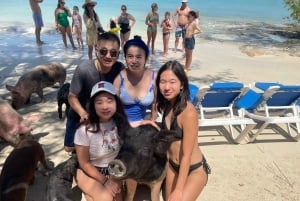 Island Hopping, Swimming w/ Turtles & Unlimited Bahamas Mama