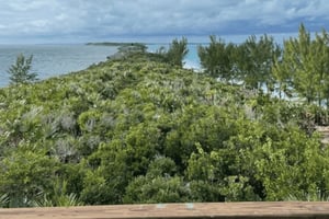 Excursion privée en petit groupe