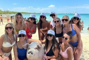 Ruususaari: Rose Island: Yksityinen huvipursi