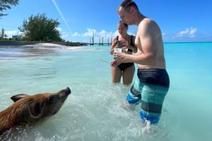 Rose Island: snorklaus, uivat siat ja rajattomasti rompunssia