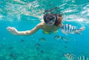 Sea-nic, Sip N’ Snorkel on a Semi-Submersive Seacraft