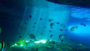 Staniel Cay & Thunderball Grotto