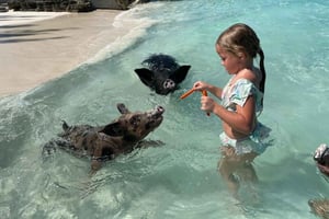 Nassau: Barco 3 Islas con Cerdos Nadadores, Snorkel y Tortugas