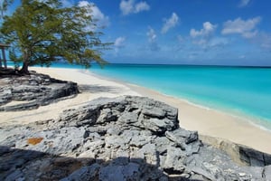 ロングアイランド・バハマの忘れられない土地ツアー