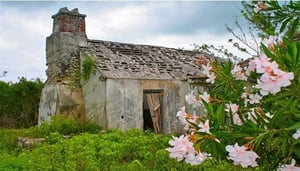Túmulo dos Leais de Williams' Town