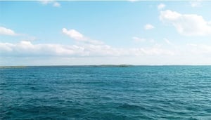 Vraget af HMS Conqueror