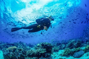Bali: 3-Days PADI Open Water Diving Course
