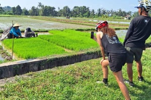 Bali: 3-Day Tour with Cooking Class, Cycling & Sunrise