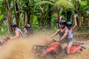 Bali: ATV-quadsykkelopplevelser med alt inkludert og lunsj