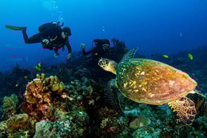 Bali, Amed: corso di specializzazione Deep Diver e gita in kayak