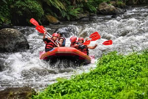 Bali : rafting sur la rivière Ayung, jardin d'épices et Tanah Lot