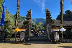 Bali: Batukaru-tempel, waterval en rijstterras