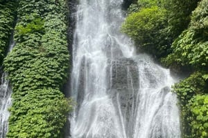 Bali: Bedugul Highlands Waterfalls, Temples & Gardens Tour