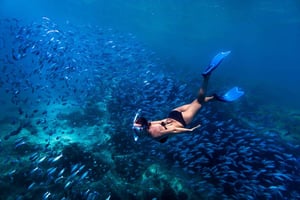 Bali: Blue Lagoon Snorkeling & Waterfall Tour with Lunch