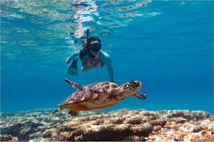 Bali: Snorkeling alla Laguna Blu con pranzo e trasporto