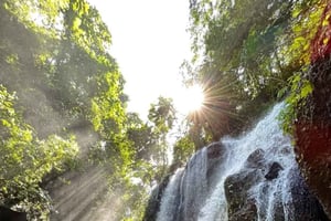 Bali : Excursión de un día al Templo de Besakih y 2 Cascadas Ocultas