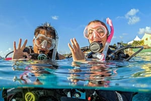 バリ島日帰りツアー：リバティ号の難破船でダイビングをお試しください＆カヤック体験