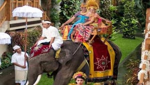 Bali Elephant Safari Park Lodge