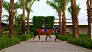 Bali Equestrian Centre