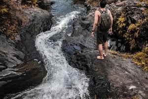 Bali: cascadas Fuji, terrazas de arroz y almuerzo local
