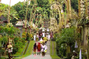 Bali: Full-Day Trip to Penglipuran Village and Bamboo Forest