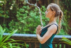 Bali: Healing and Aura Cleansing Tour with Yoga & Meditation