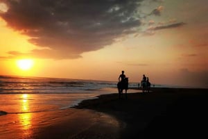 Bali: Reiten am Pigstone Beach und in den Reisfeldern