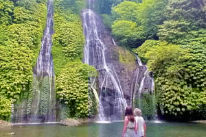 Bali: tour por las terrazas arroceras de Jatiluwih, templos y cascadas