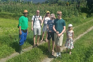 Bali: Jatiluwihin retki Sengananin kylän kautta – paikallinen opas mukana