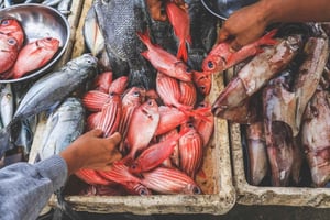 Bali: Jimbaran Seafood Market Tour with Sunset Dinner