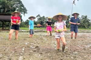 Bali: Kedisan bærekraftig jordbruk og naturtur